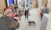 STEM robot performs