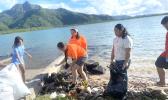 Lions Park clean up