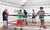 Boxers in a training session in the ring