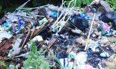 A look at the piles of trash currently dumped – illegally — on the side of the road in Poloa village. The litter problem in this area has become so bad that passersby are asking, “Out of sight, out of mind?”  [photo: BC]