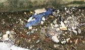 trash found during October’s government clean-up day