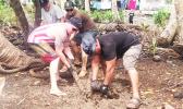 On Saturday, February 11, the local Auxiliary flotilla teamed up with friends and neighbors at Coconut Point and collected trash and debris from the mangrove swamp bordering Pala Lagoon. Part of the effort included a real tug of war contest – which had to be ended with a saw!  [Courtesy photo]