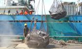TUNA BOAT UNLOADING