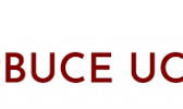 Applications are due on May 19, 2023, and can be accessed at https://www.surveymonkey.com/r/pbucetrainee2023. For any inquiries, please contact Yoko Kitami at kitmi@hawaii.edu/. ucedd bruce logo