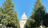 The Members wrote, "We agree that a community-wide effort is necessary to fully understand the various factors that may contribute to veteran suicide, especially as discrepancies between state and federal data paint a different picture of the scope of veteran suicide. u.s. capitol building