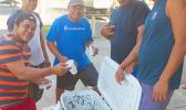 Men from Vatia yesterday morning selling “palolo” at the Fagatogo Market Plac