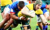 David Pocock inaction against Samoa