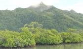 wetlands