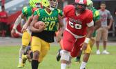 Leone Lions strong safety returning