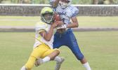 A Leone Lions receiver tries to gain control of the ball while defending was Prodieus Lutu-Fuga of the Sharks