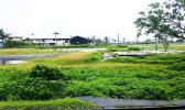 Pictured is the exact location where the proposed youth center will be built.  [photo: Blue Chen-Fruean]